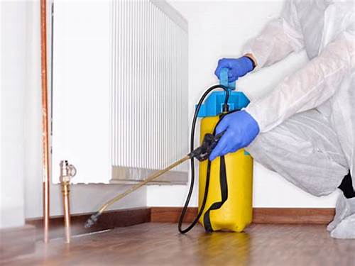 pestcontrolservicesinbhayandar, pestcontrolservicesinbhayandarwest