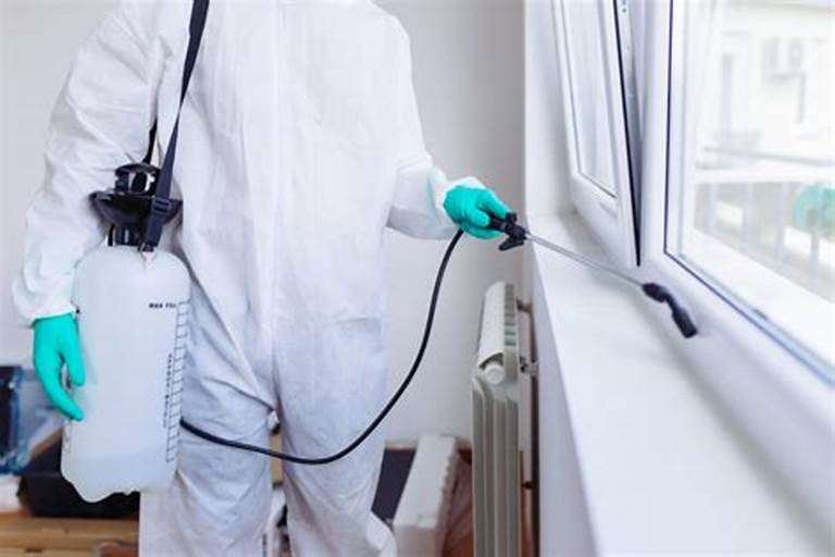 pestcontrolinmiraroad, pestcontrolservicesnearme